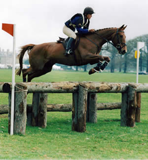 Equine Dentistry in Wiltshire and South West